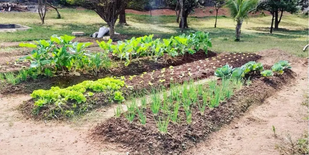 horta
